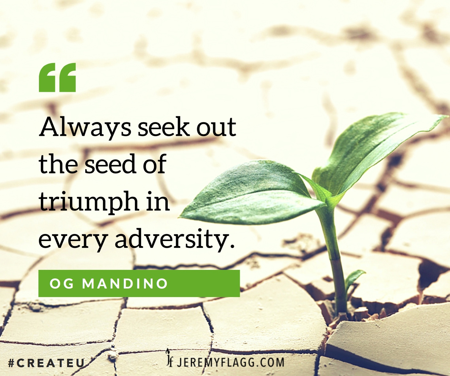 Triumph-in-adversity-Og-Mandino-quote-FB